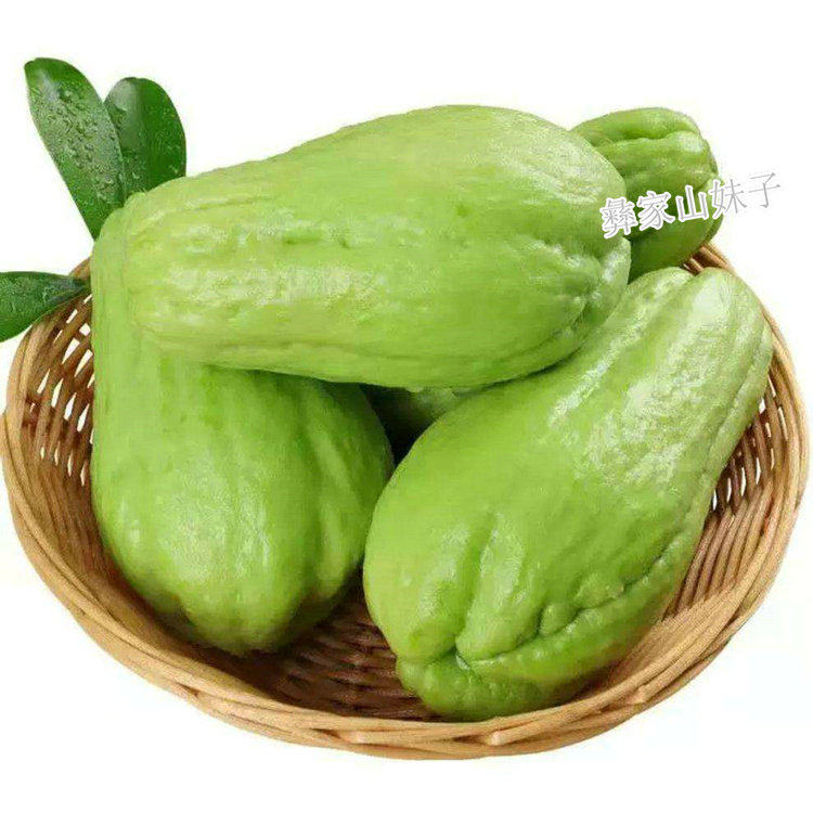 云南高山新鲜佛手瓜现摘农家洋丝瓜捧瓜福寿瓜当季脆嫩蔬菜