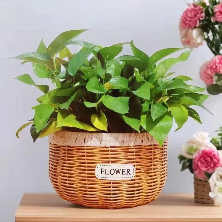 蝴蝶兰绿萝编织花盆客厅空调顶桌面装饰鲜花插花仿真藤编手工花篮