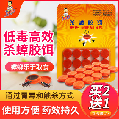 赵师傅杀蟑胶饵灭蟑螂药非无毒一窝室内全窝厨房蟑螂端灭杀