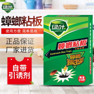 绿叶蟑螂粘板捕捉蟑螂器蟑螂贴粘板纸家用灭蟑螂20张