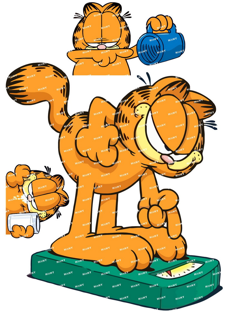 小号F0022-05加菲猫卡通动漫笔记本电脑吉他旅行拉杆箱贴纸