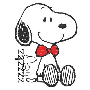 中号F0003 08史努比snoopy卡通笔记本电脑吉他手机旅行拉杆箱贴纸