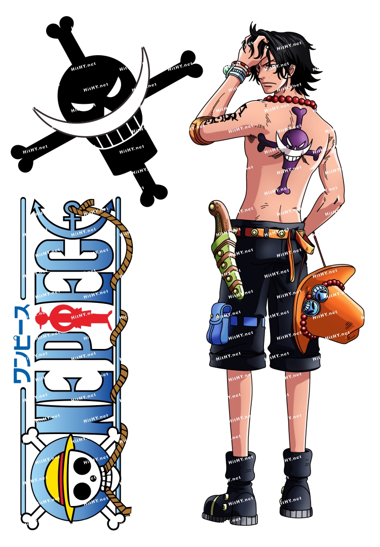 小号F0019-05海贼王卡通动漫笔记本旅行拉杆箱贴纸防水