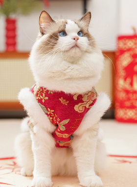 刺绣中国风猫衣服舞狮狗衣服