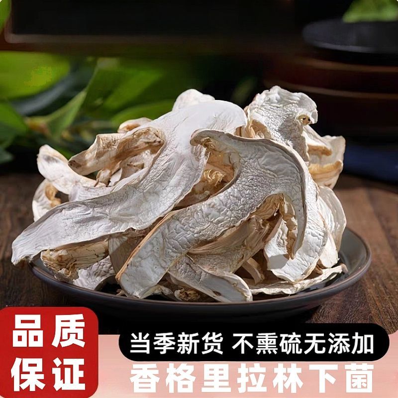 香格里拉野生松茸干片