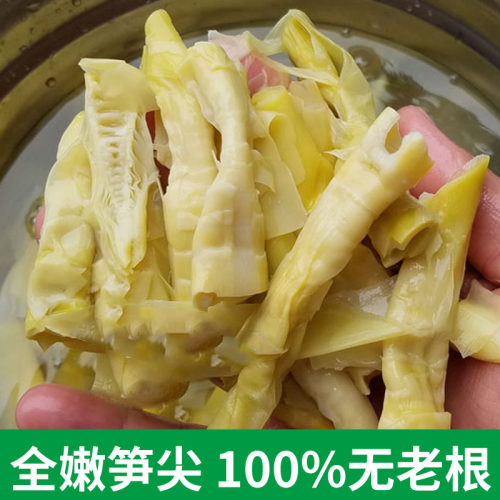 天目笋干嫩头竹笋尖无野生散装