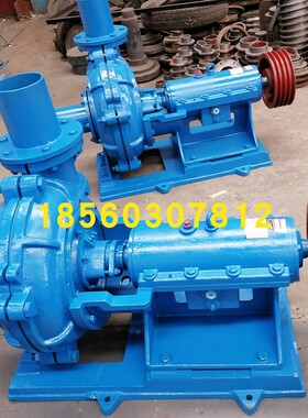 2PNJB衬胶泵 二寸砂泵 泥浆泵 11kw 矿山矿浆 污水泵 博山水泵