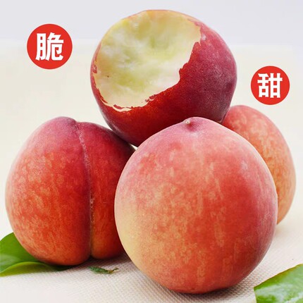 新鲜水果现摘毛桃水蜜桃当季水果脆甜肉厚多汁 包邮