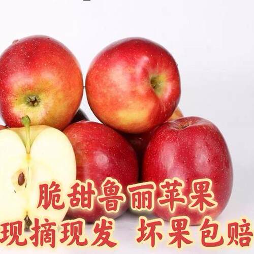 2026年当季水果现摘现发早熟苹果鲁丽苹果酸甜口味5斤包邮