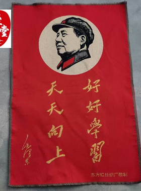 红色怀旧收藏刺绣客厅装饰画织锦画红色宣传画60*40CM好好学习