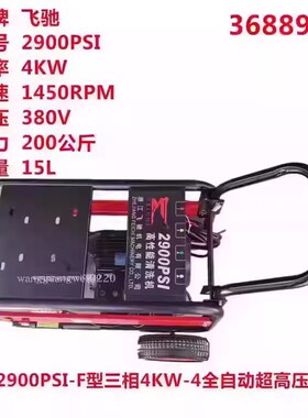 飞驰牌2900PSI三相4KW全自动超高压洗车机商用清洗机洗地机刷车泵