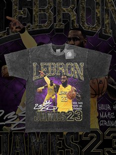美式NBA球星T恤詹姆斯LeBron James嘻哈说唱印花短袖纯棉街头半袖