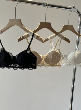 Secret House性感网纱内衣女无钢圈超薄款蕾丝法式文胸舒适夏季