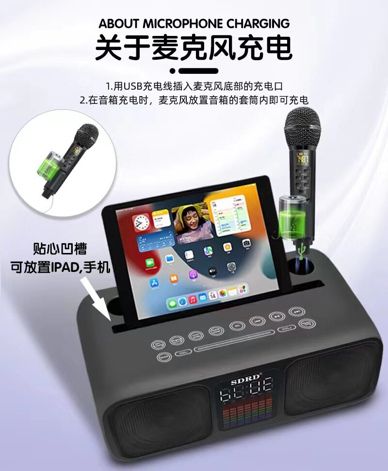 SDRD318 블루투스 스피커 듀얼 무선 마이크 휴대 전화 TV KTV 스테레오 광섬유 포트 휴대용 서브 우퍼