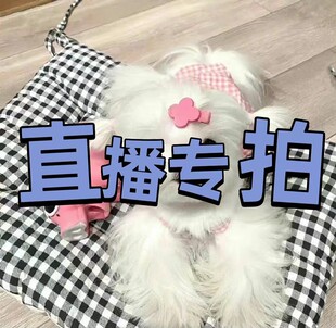 直播外贸女装15.8 实物已直播为准,勿误拍谢谢