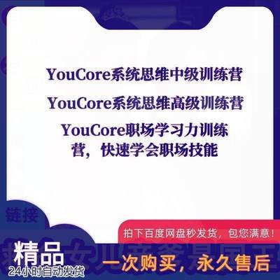 YouCore系统思维应用高级训练营中级训练营 职场学习力训练营教程