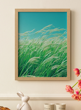 风吹芦影客厅卧室酒店民宿沙发自然植物装饰画挂画艺术框油画壁画