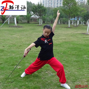 儿童武术服武术短袖T恤武术衫武术裤灯笼裤儿童表演服练功服套装