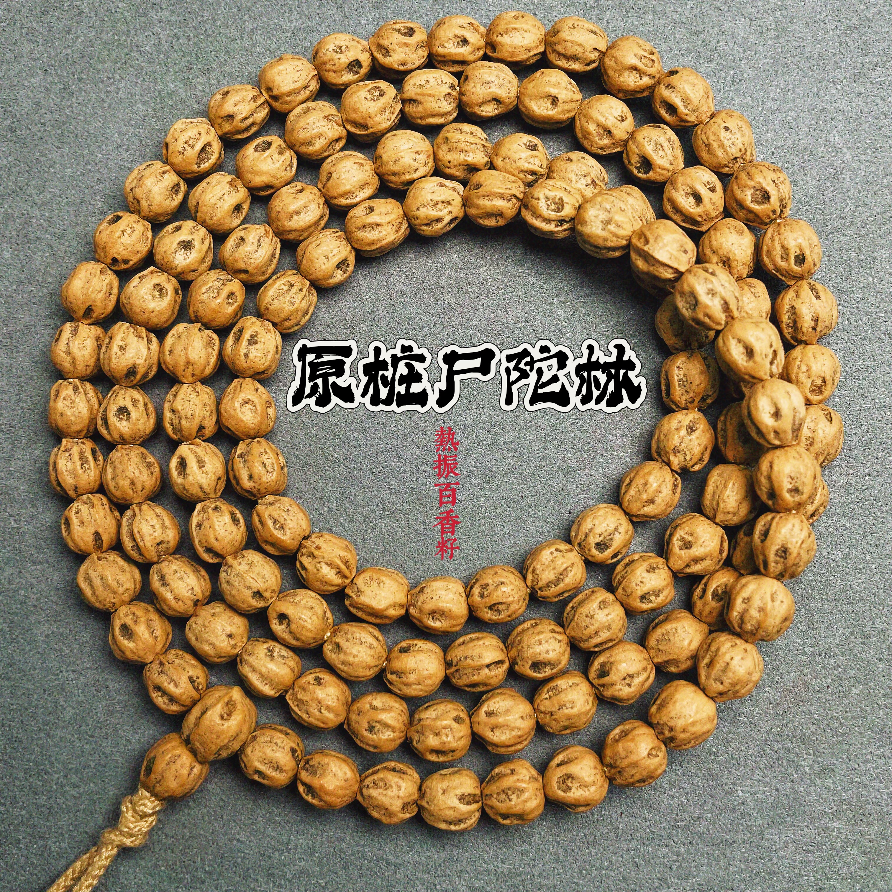 热振柏香籽原装尸陀林百香籽圆桩佛珠手串男女木质文玩挂链热振籽