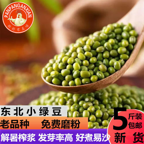 新货绿豆小绿豆5斤农家自产发新鲜豆芽夏天绿豆汤绿豆粥纯绿豆粉