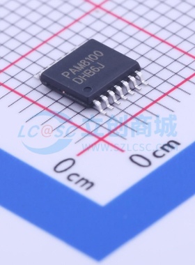 音频接口芯片 PAM8100RRR TSSOP-14 DIODES(美台) 电子元器件配单