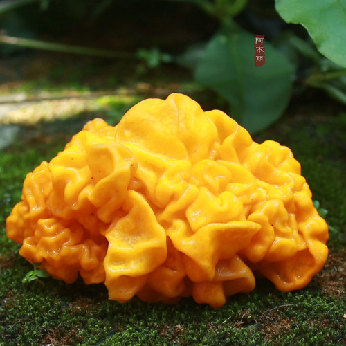 云南野生金耳食用菌干货