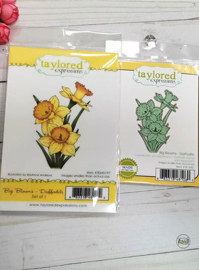 Taylored Expressions 水仙花 Big Bloom-Daffodils 进口橡皮印章