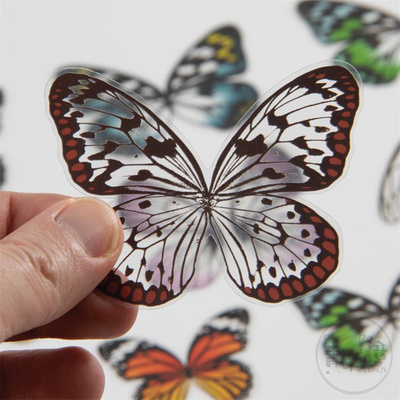 预裁切透明TransparentAcetate