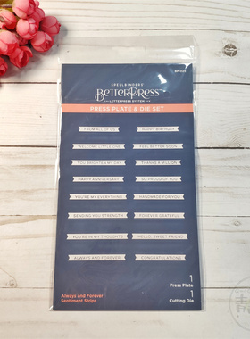 新品 BetterPress 永远和永恒词条 Always & Forever Strips