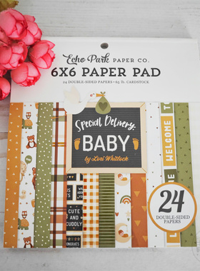 Echo Park Paper 宝贝 Special Delivery Baby 进口6寸双面纸本