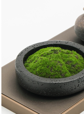 树脂托盘仿真苔藓摆件