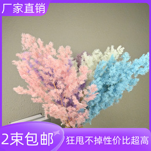 永生花蓬萊松婚慶北歐風花束家居材料插花干花diy真花束高級感