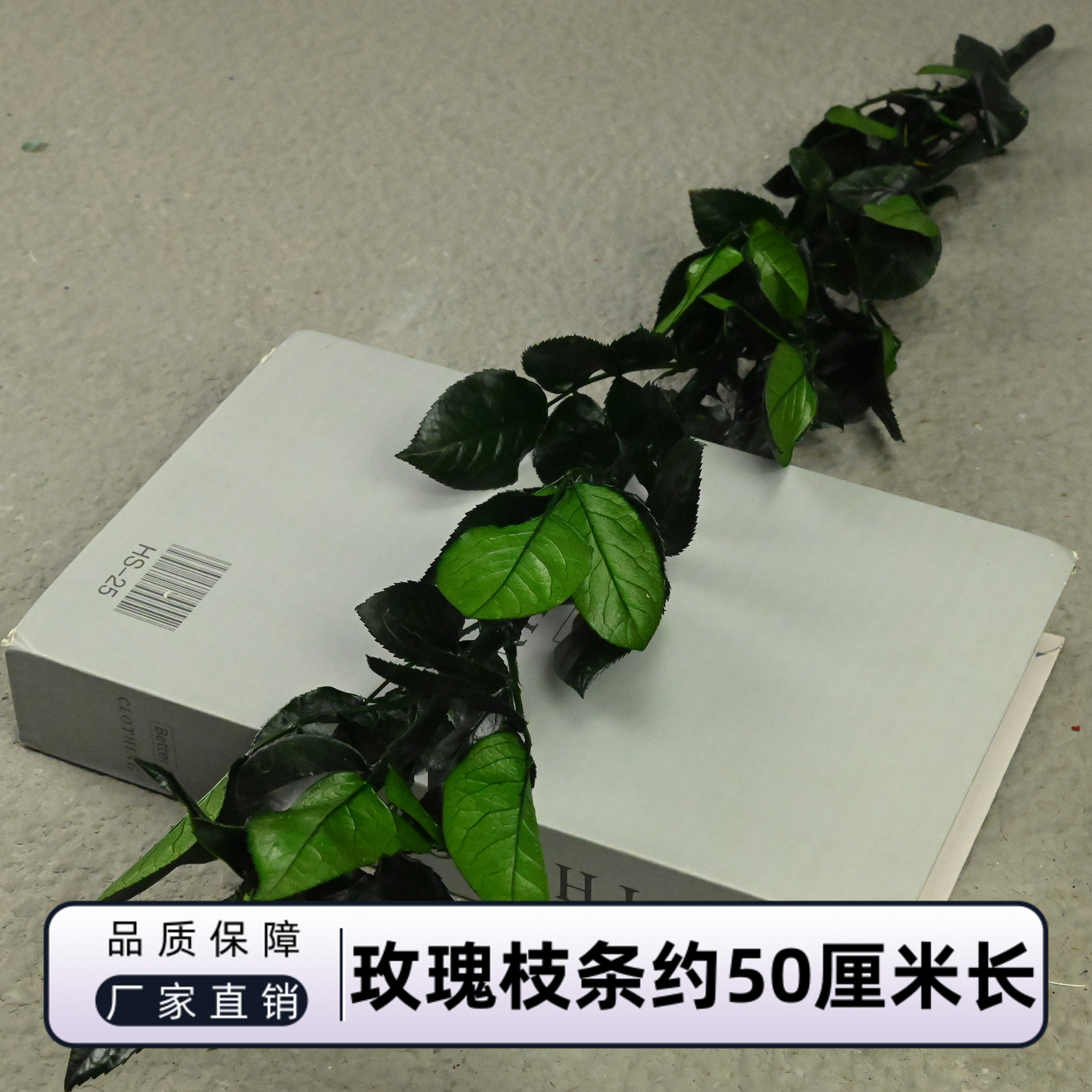 永生花玫瑰枝条整支厂家直销