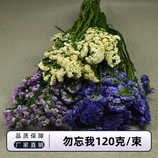 束云南干花花束真花家居擺件客廳臥室 幻花永生花云南勿忘我120克