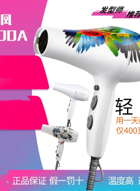 火之凤吹风机发廊专用大功率理发店超静音超轻专业造型5600A 鹦鹉