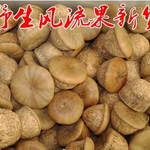 天然风流果 龟头子 天竺粒  阴阳子 干货500g包邮