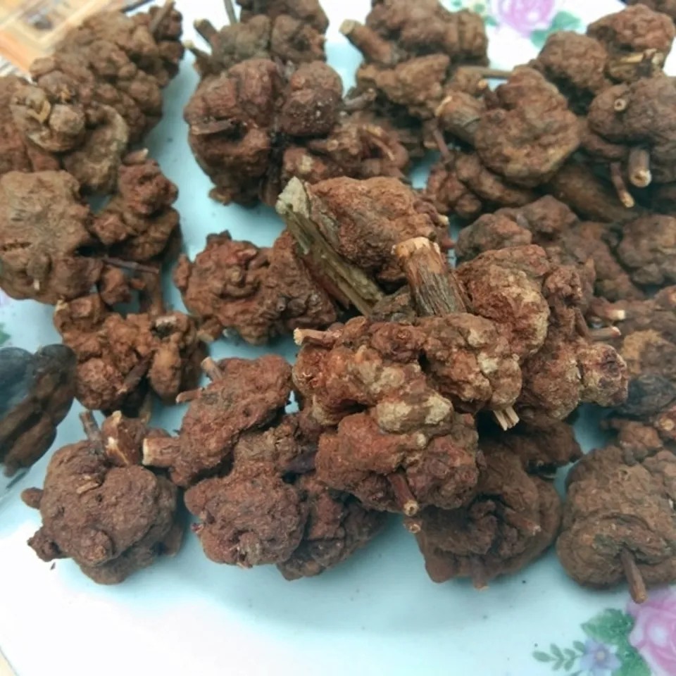 天然过路黄果 金线蝴蝶 狗胡花 金丝海棠 土连翘寄生干货500g包邮