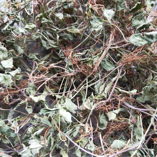 定经草 旱田草 鸭嘴癀长蒴母草心叶母草锯齿草小号虎舌癀干货500g