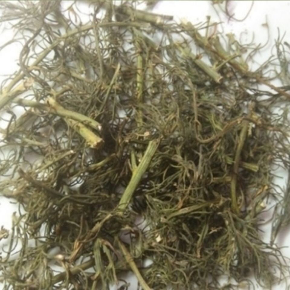 天然猪毛菜 扎蓬棵 刺蓬 猪毛缨 猴子毛 蓬子菜 三叉明棵干货500g