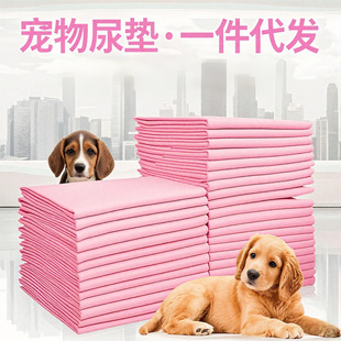 宠物尿垫加厚除臭狗狗尿片泰迪尿不湿尿布超厚吸水隔尿垫一件代发