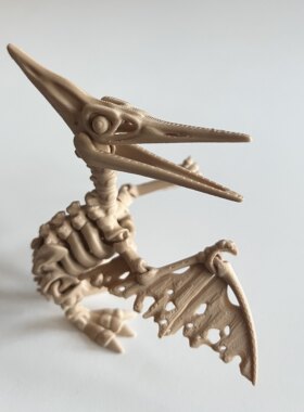 风神翼龙骸骨关节可动模型玩具pterosaur骨骼骨架手办儿童节礼物