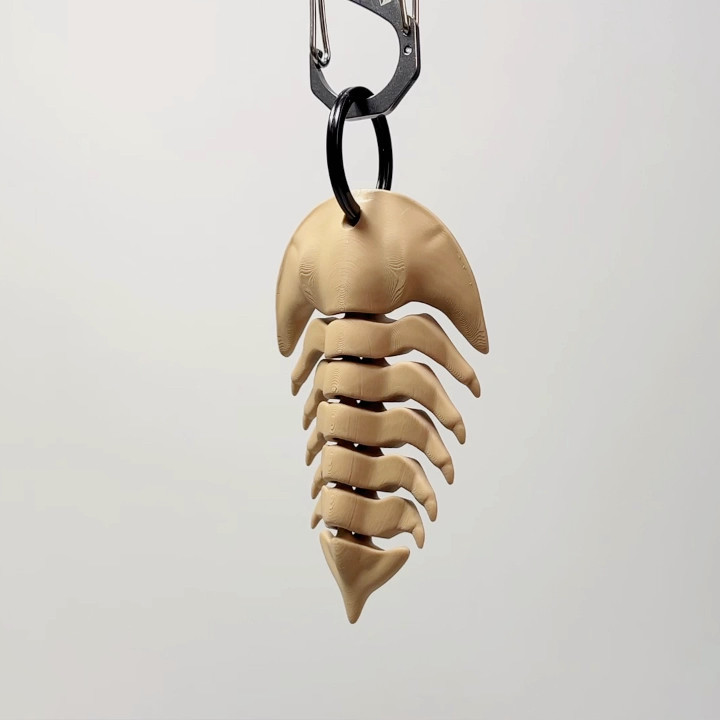 远古三叶虫背包挂件寒武纪古生物昆虫化石trilobite模型挂坠/挂饰图片