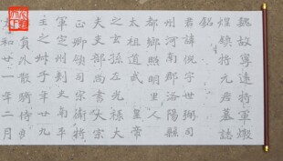 魏碑元倪墓志水写布 毛笔书法清水万次练字