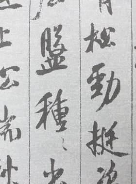 米芾行书 蜀素帖 水写布 清水万次练习毛笔书法仿宣纸免墨汁练字