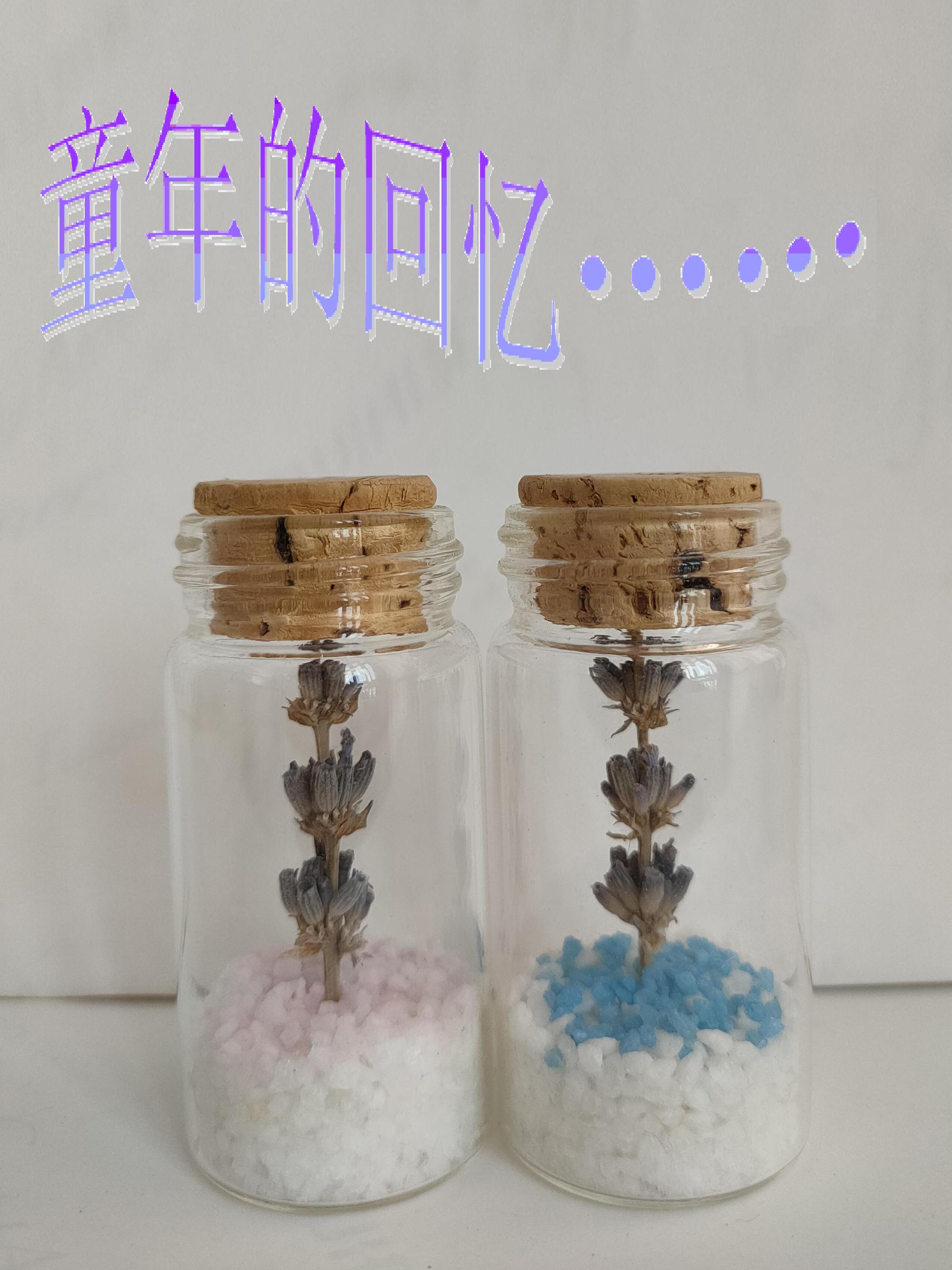 薰衣草瓶电视剧同款相似男女生日情人节礼物木塞幸运许愿瓶