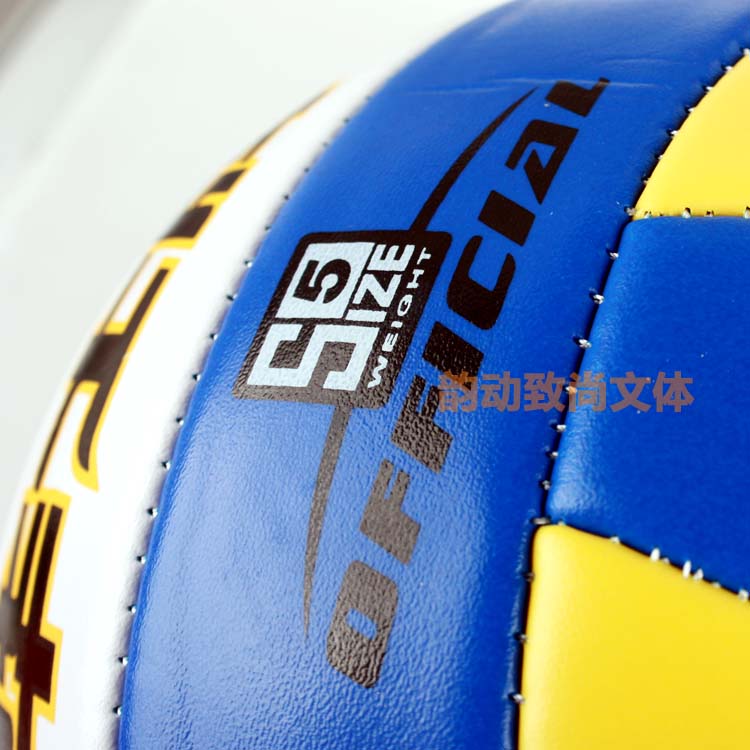 Ballon de volley-ball - Ref 2008920 Image 5