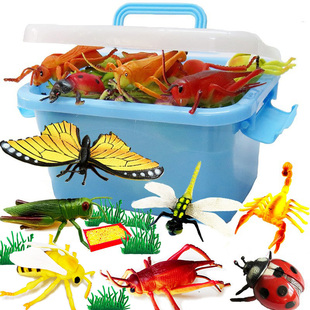 儿童仿真昆虫世界动物模型玩具蝴蝶蜘蛛甲虫瓢虫植物教具认知虫子