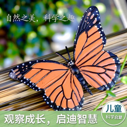仿真昆虫成长观察过程蝴蝶生命周期青蛙儿童科学启蒙模型支持集运