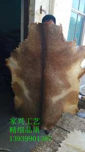 整张非洲鼓皮 带毛羊皮 鼓皮 山羊皮 装饰皮 定做各种尺寸 量大优