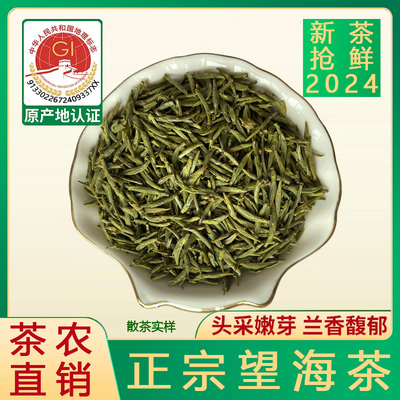 精品望海茶50克2024年明前茶散装